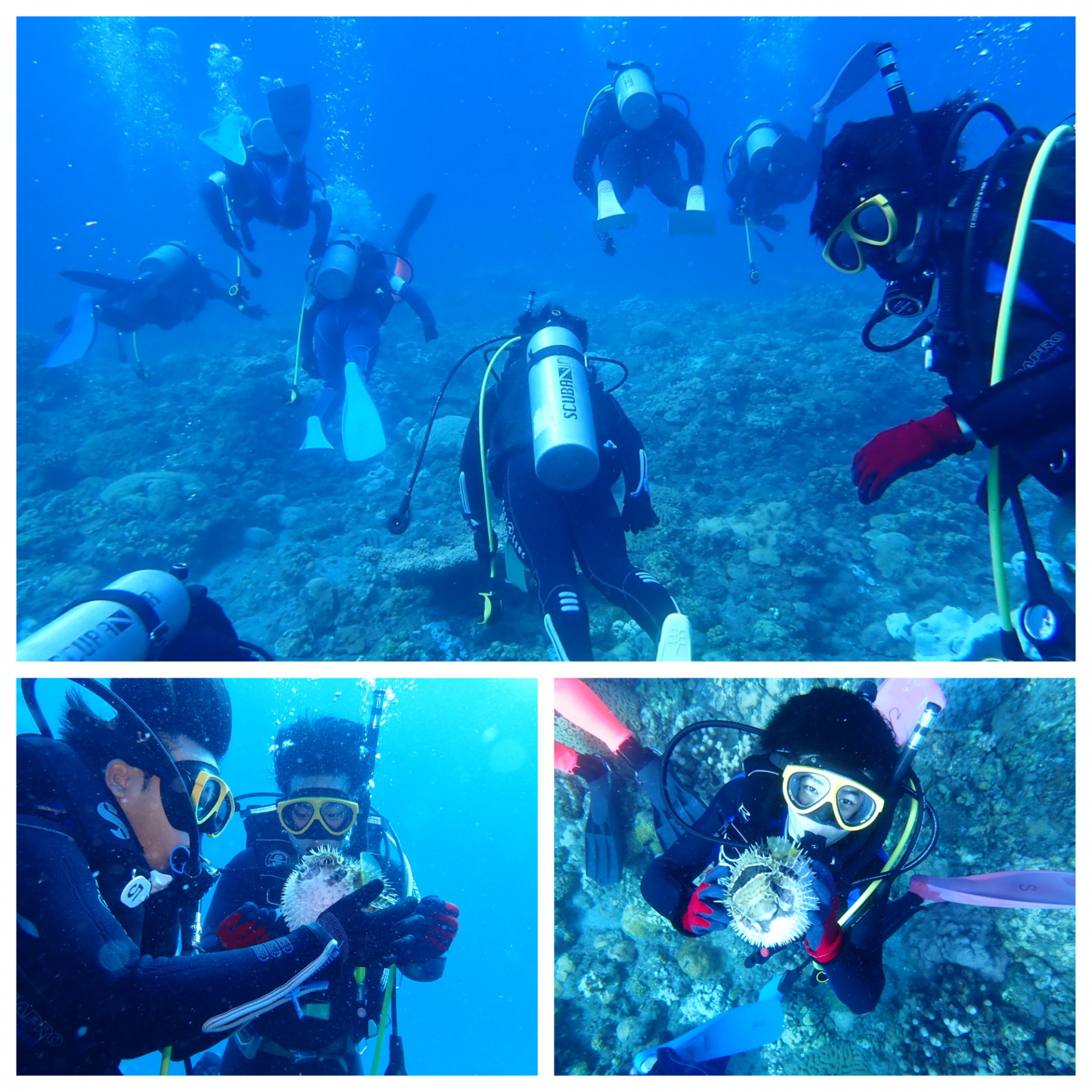 Blank 3 Grids Collage - 2025-10-24T202820.775